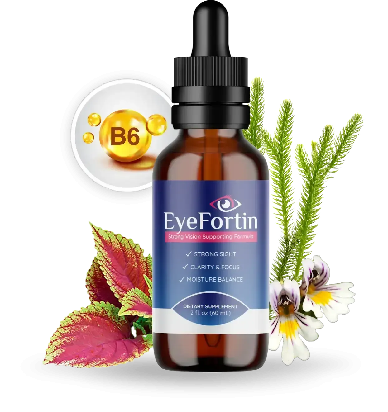 eyefortin